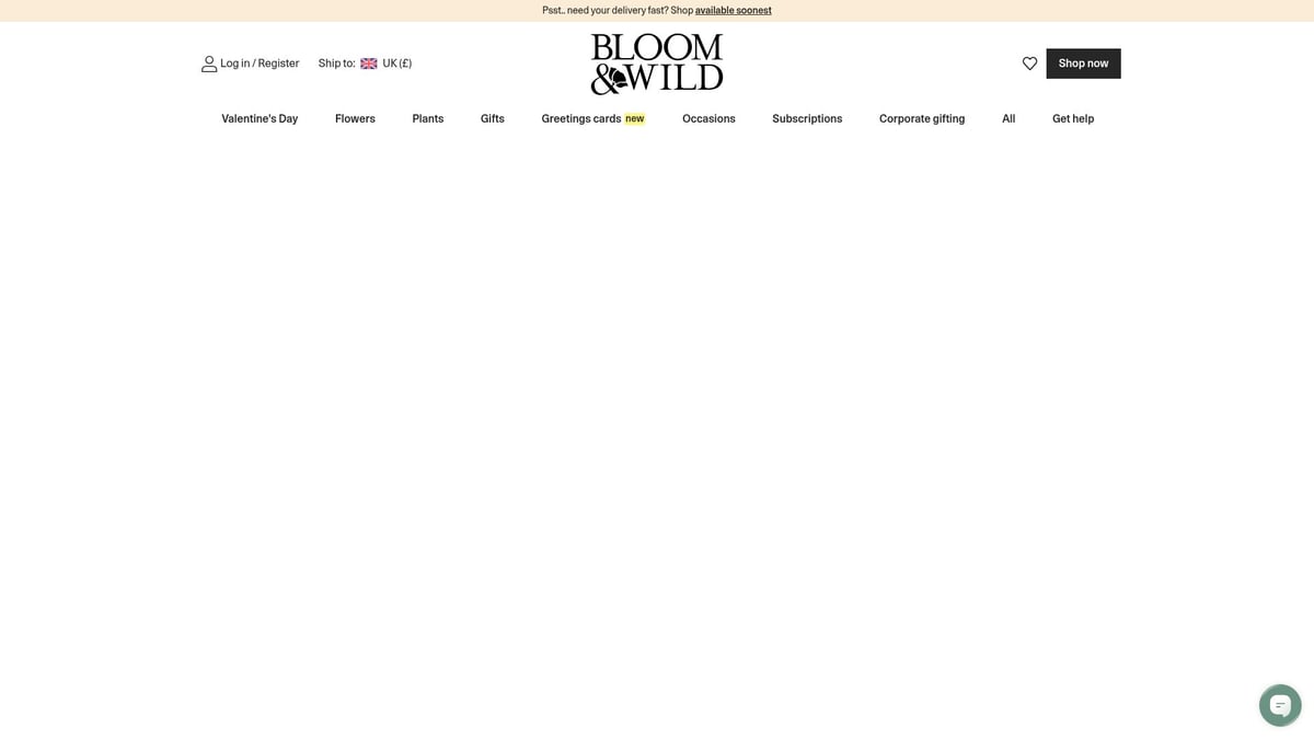 9 Best Flowers And Champagne Delivery Options For 2026 - Bloom & Wild – Letterbox Flowers & Mini Champagne