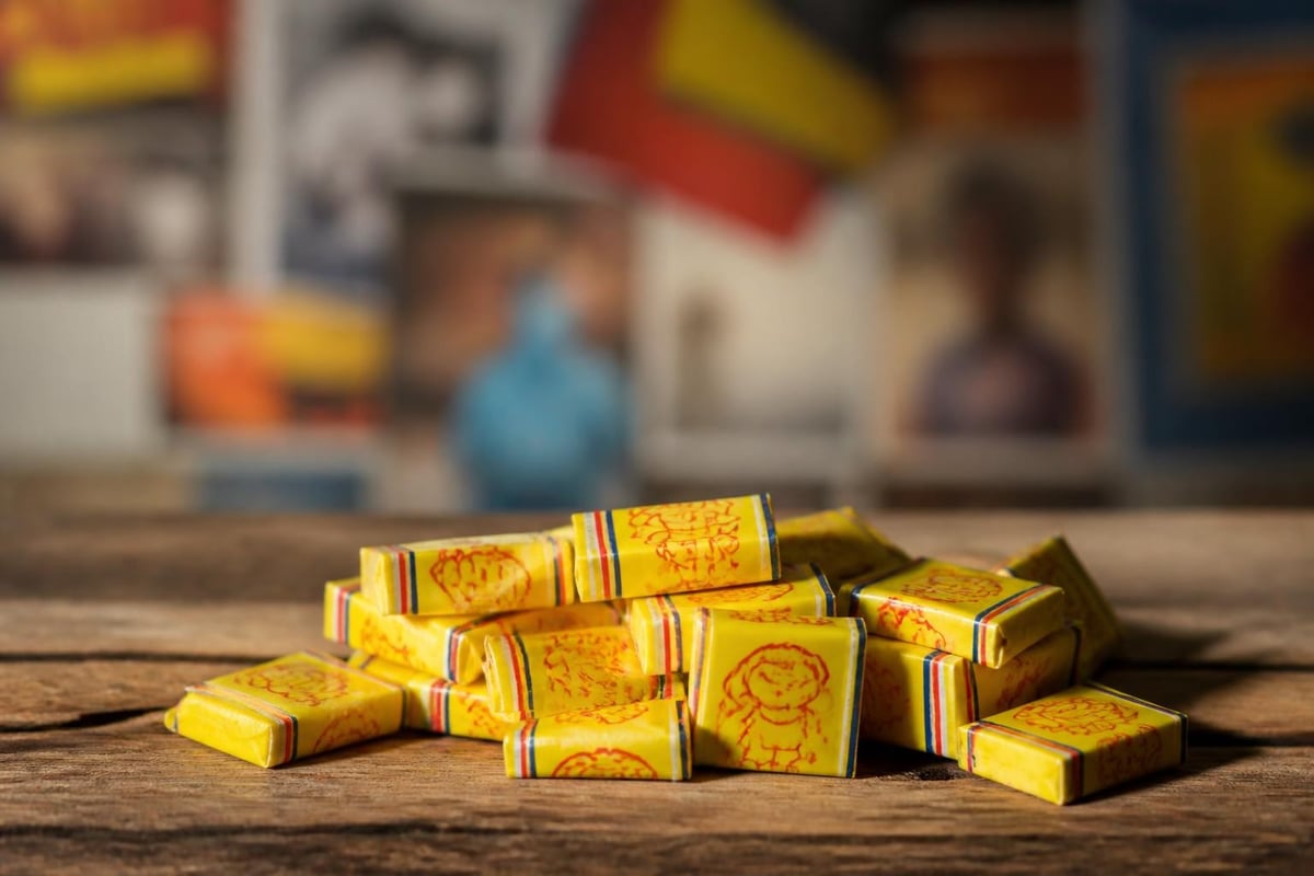 Chappies brand evolution
