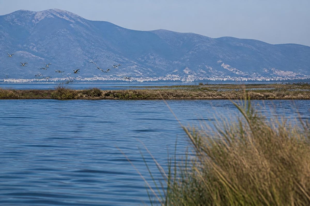Lefkada protected ecosystems