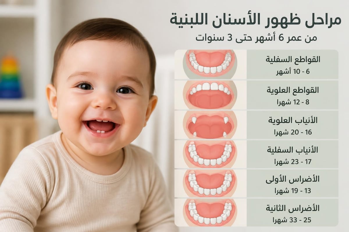 مراحل بزوغ الأسنان اللبنية