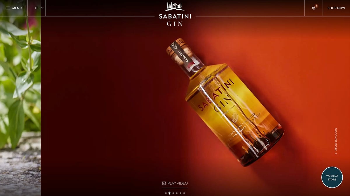7 Gin Da Bere Con La Pizza Perfetti Per Serate Indimenticabili - Sabatini Gin