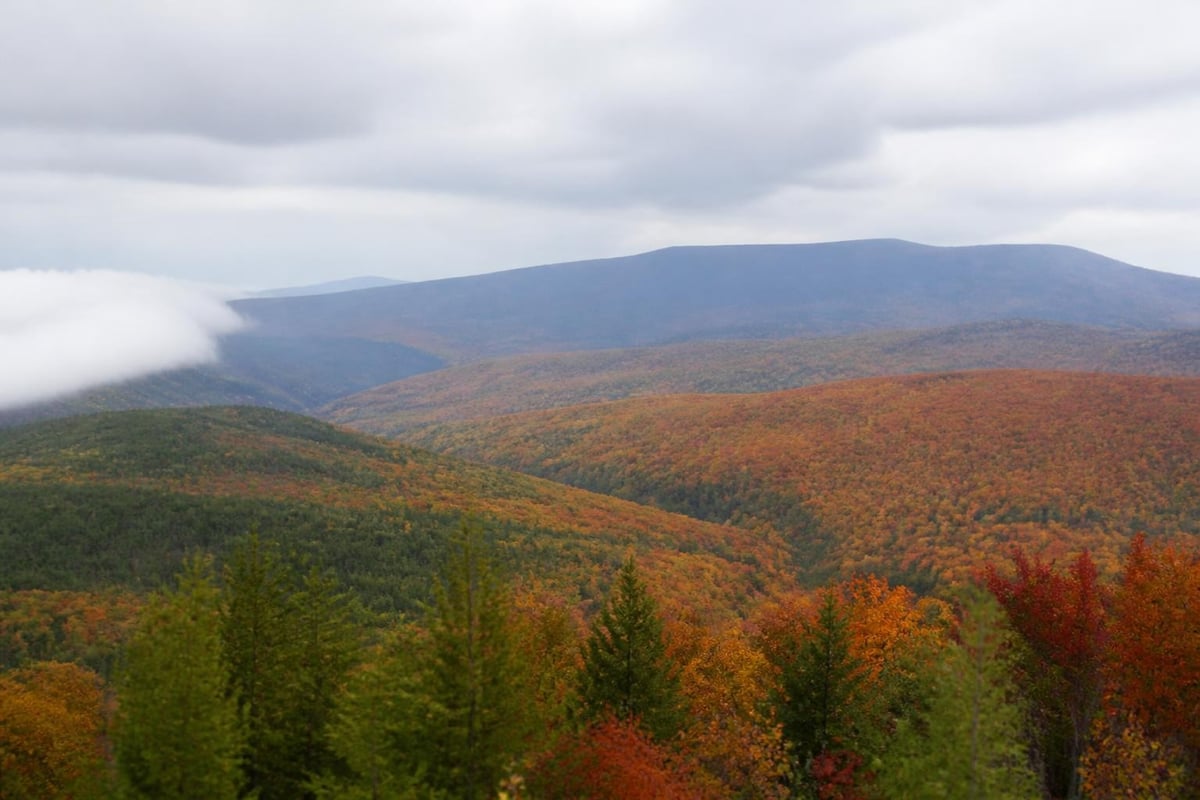 Fall foliage timing factors