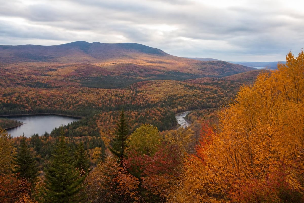 Regional foliage timing
