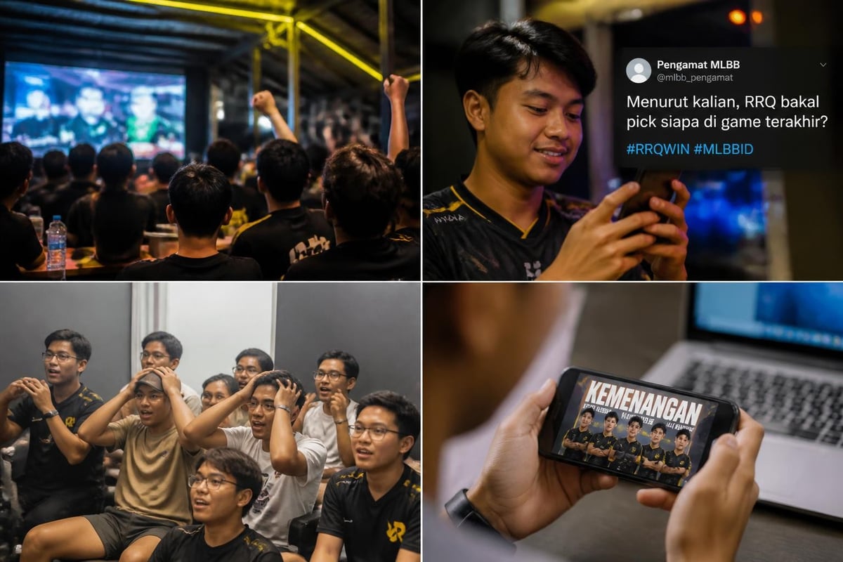 MPL community engagement