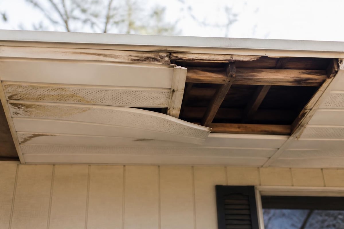 Common soffit damage types