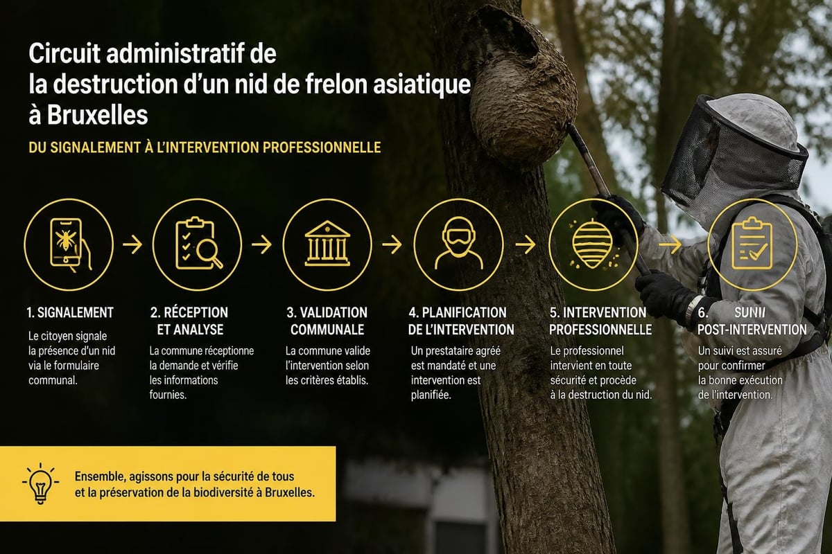 Processus de signalement et intervention