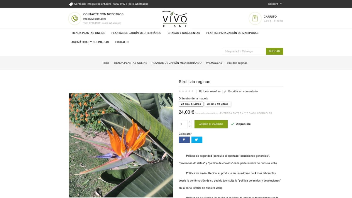 7 Plantas de Jardin Ideales para Transformar tu Espacio en 2026 - Strelitzia reginae – Ave del Paraíso