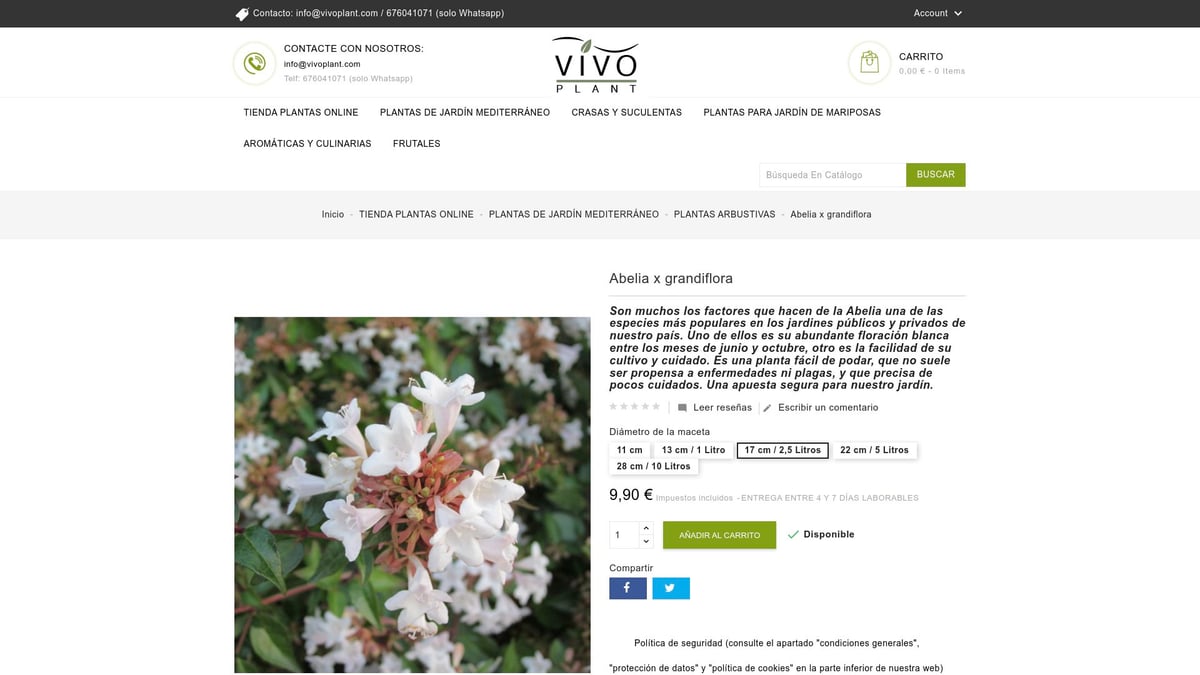 7 Plantas de Jardin Ideales para Transformar tu Espacio en 2026 - Abelia x grandiflora