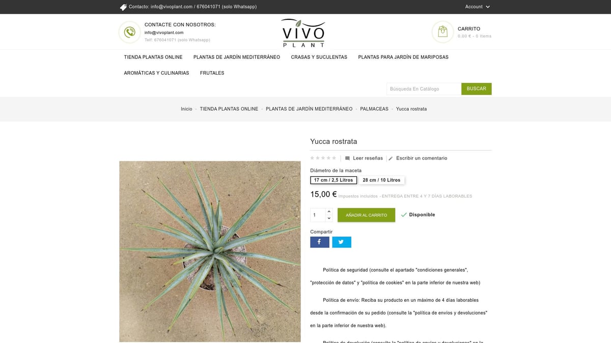 7 Plantas de Jardin Ideales para Transformar tu Espacio en 2026 - Yucca rostrata