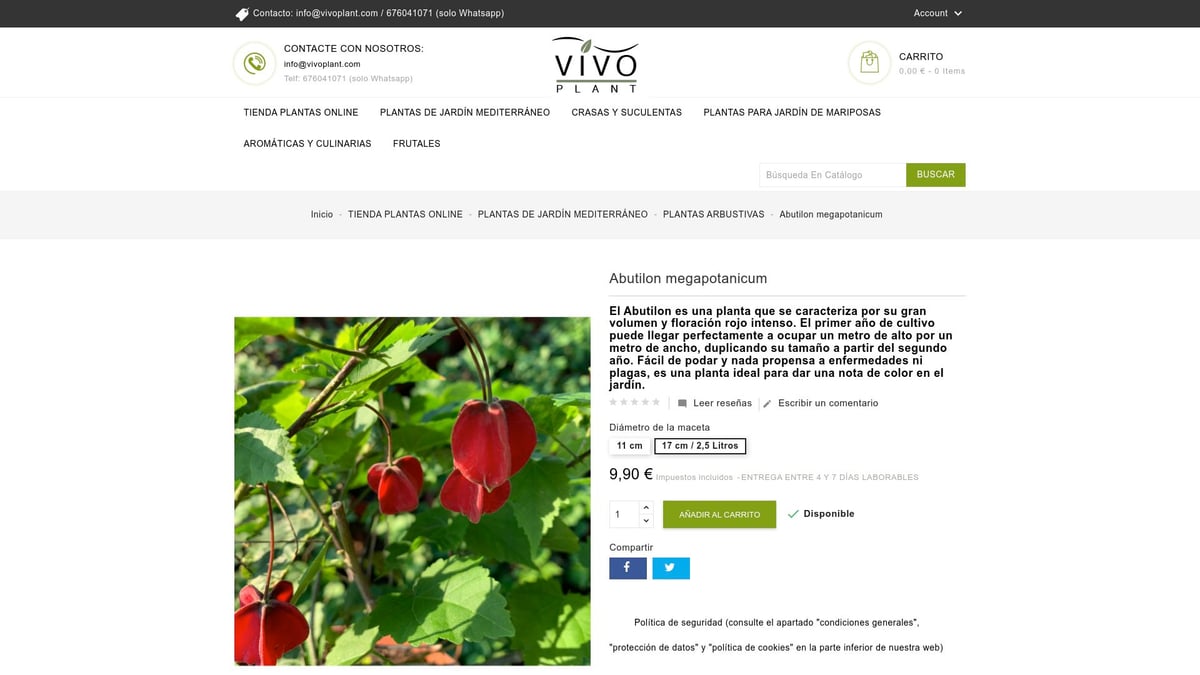7 Plantas de Jardin Ideales para Transformar tu Espacio en 2026 - Abutilon megapotamicum – Farolito chino