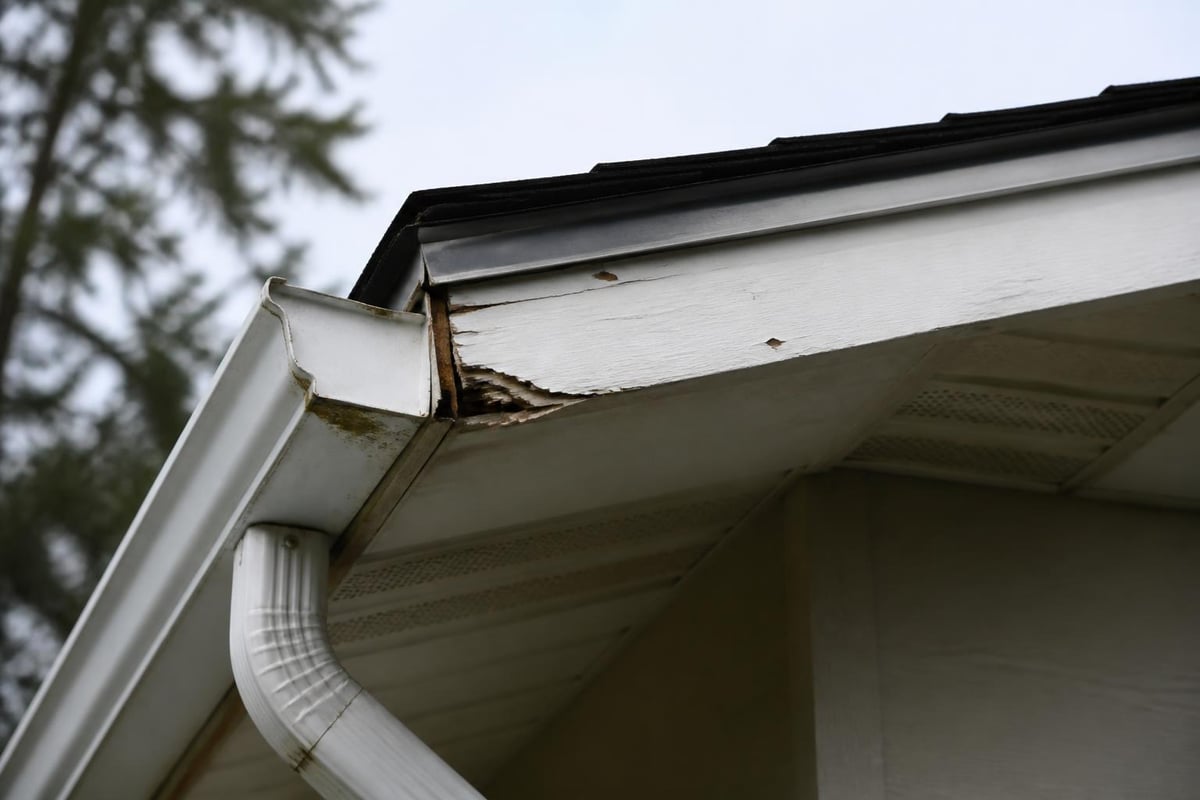 Roof edge component inspection