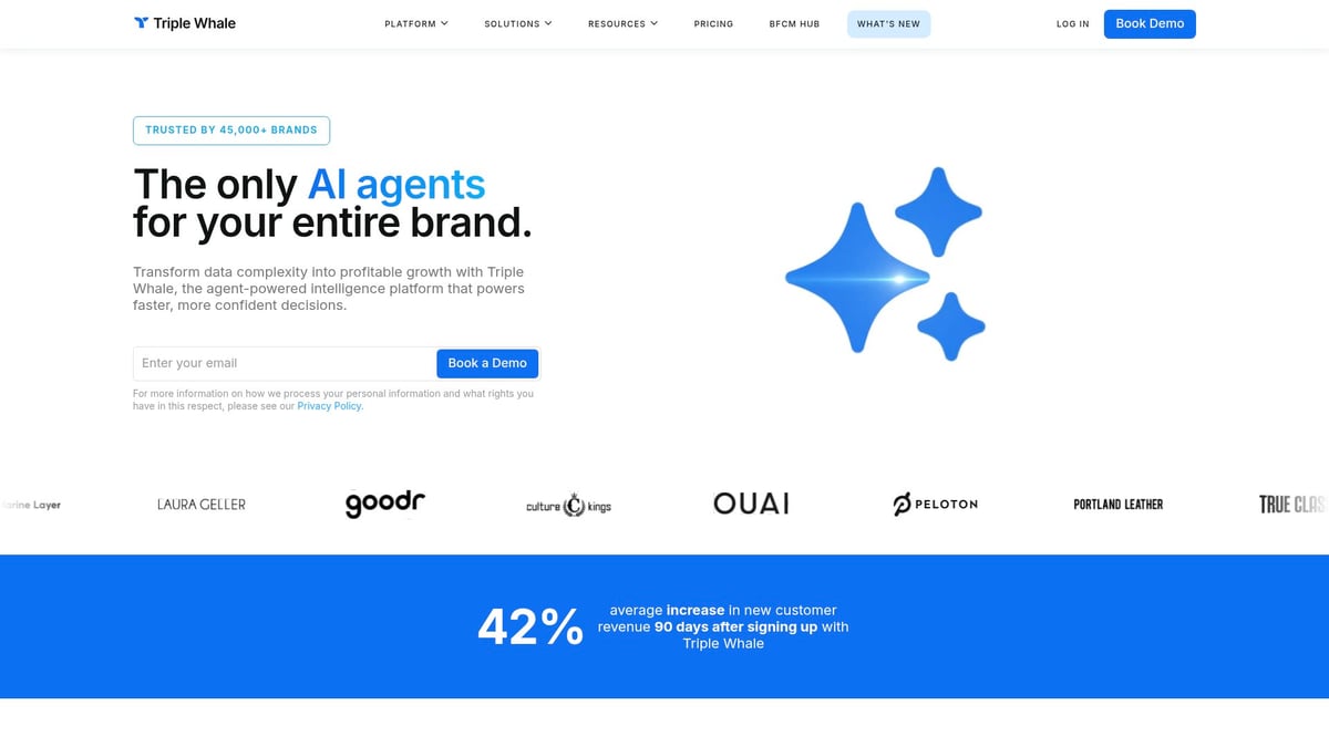 7 Bästa Shopify Analys Verktyg För Tillväxt 2025 4 7 Bästa Shopify Analys Verktyg För Tillväxt 2025 - Triple Whale