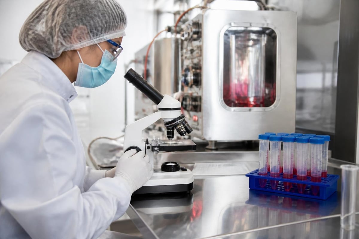 Stem cell quality testing