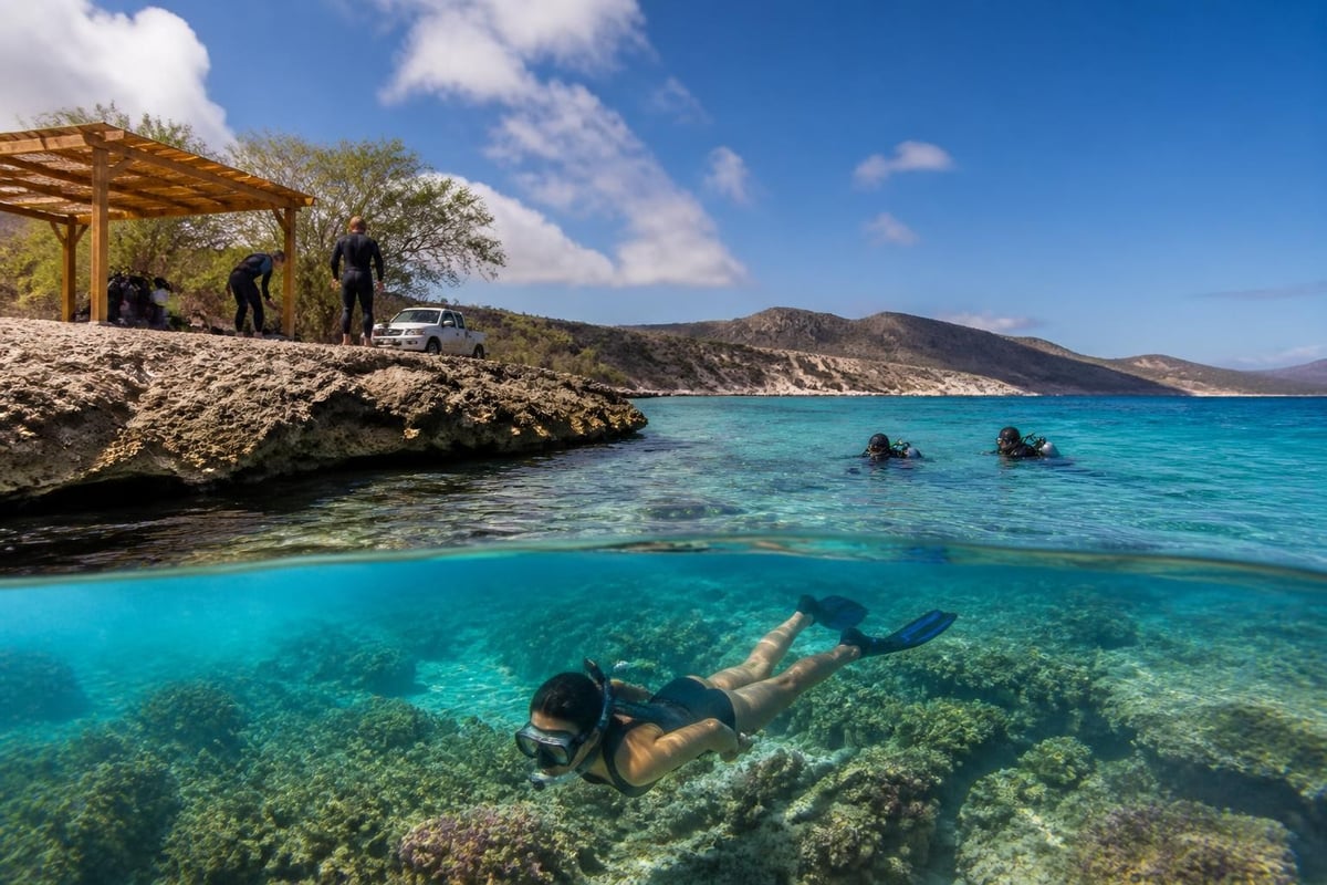 Bonaire tourism ecosystem