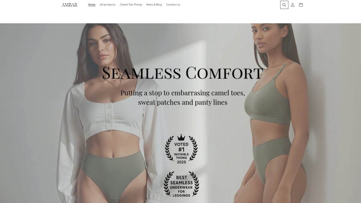 9 Best Seamless Underwear for Ladies to Try in 2026 - Ambar Wear Invisible Camel Toe Thong (High Rise/Low Rise)