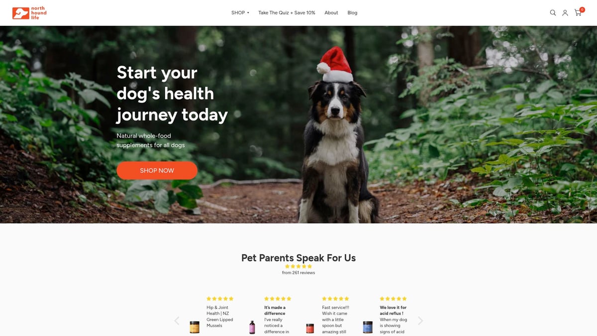 Guide to Skin and Coat Dog Supplement Benefits 2026 - North Hound Life: Natural Skin & Coat Solutions