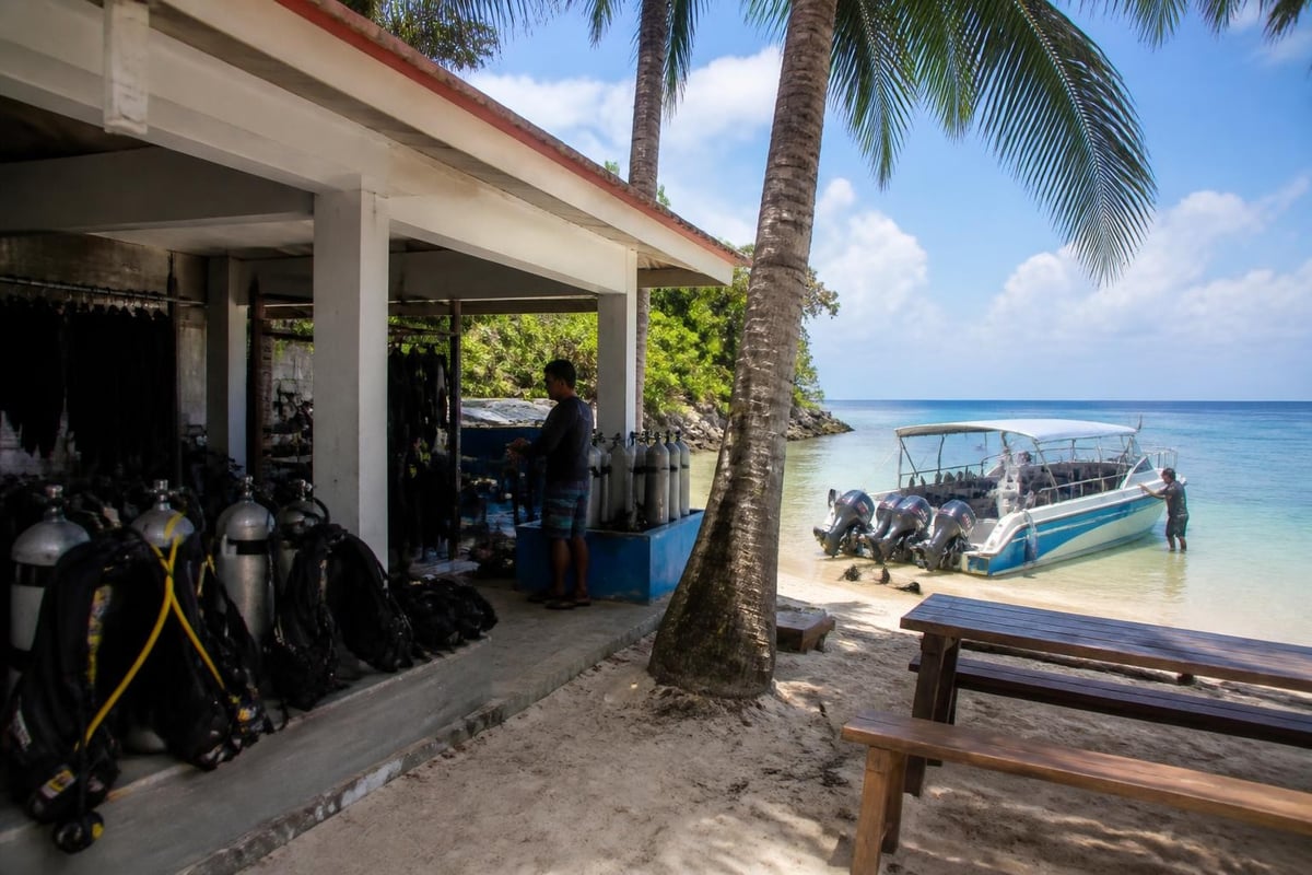 Dive resort features