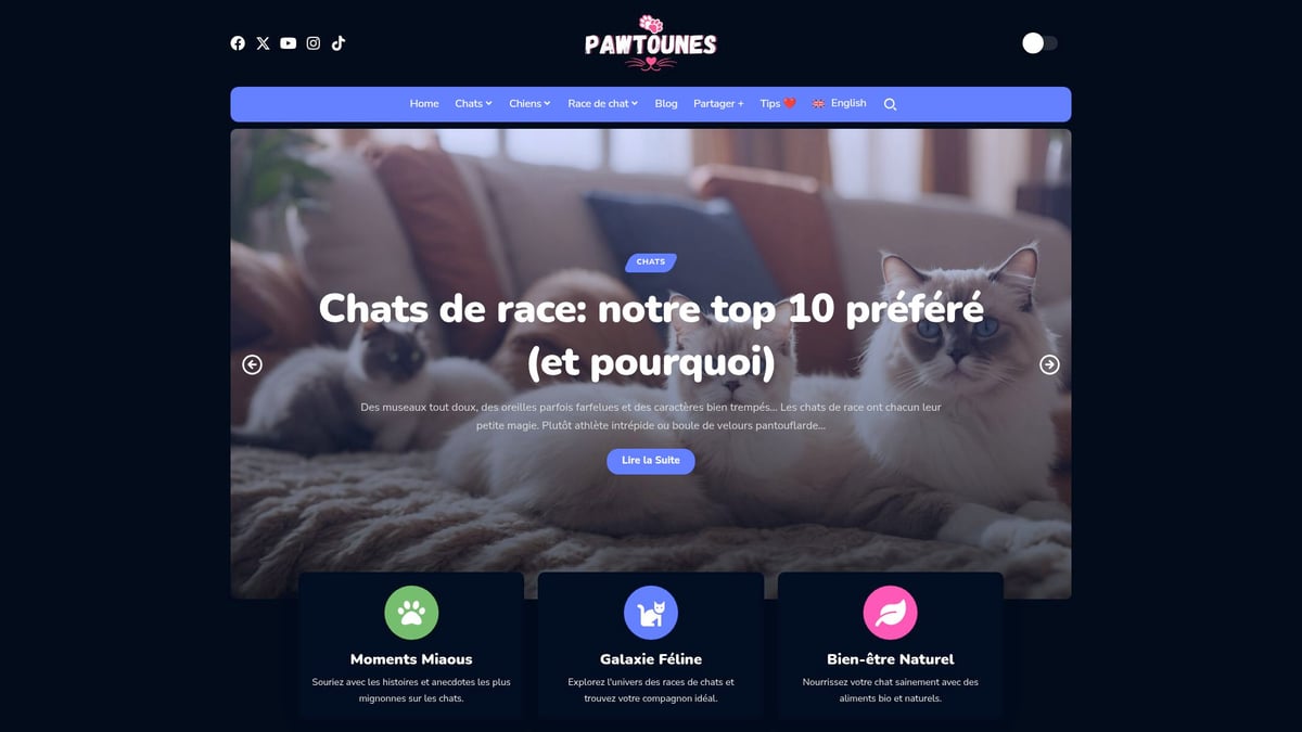 Pawtounes - Top 10 Les Chats Races À Découvrir Absolument En 2025 - Top 10 Les Chats Races À Découvrir Absolument En 2025 - Conseils & inspirations félines sur Pawtounes
