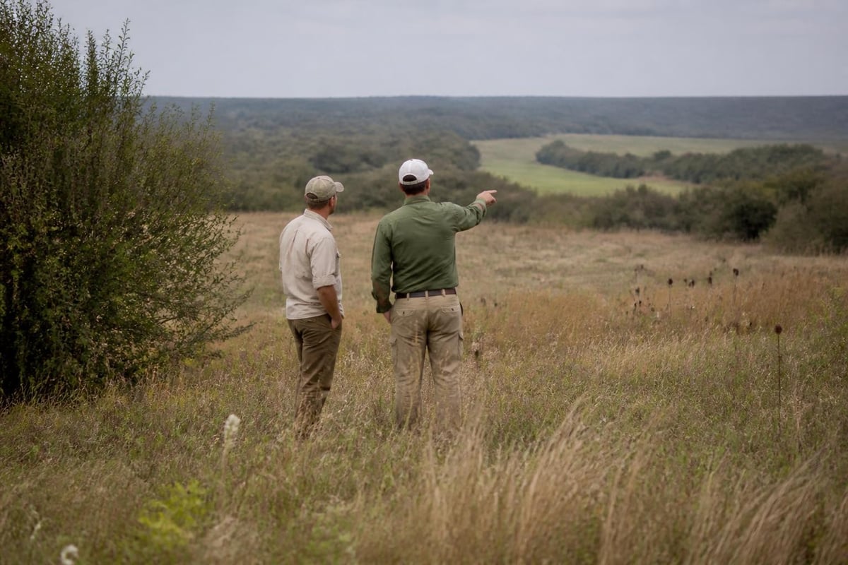Quail habitat management
