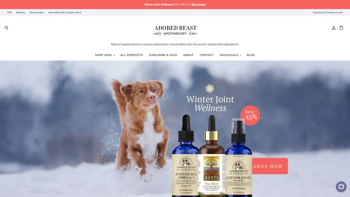 7 Essential Good Probiotic For Dogs Picks in 2026 - Adored Beast Healthy Gut