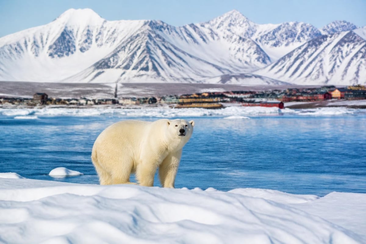 Arctic destinations