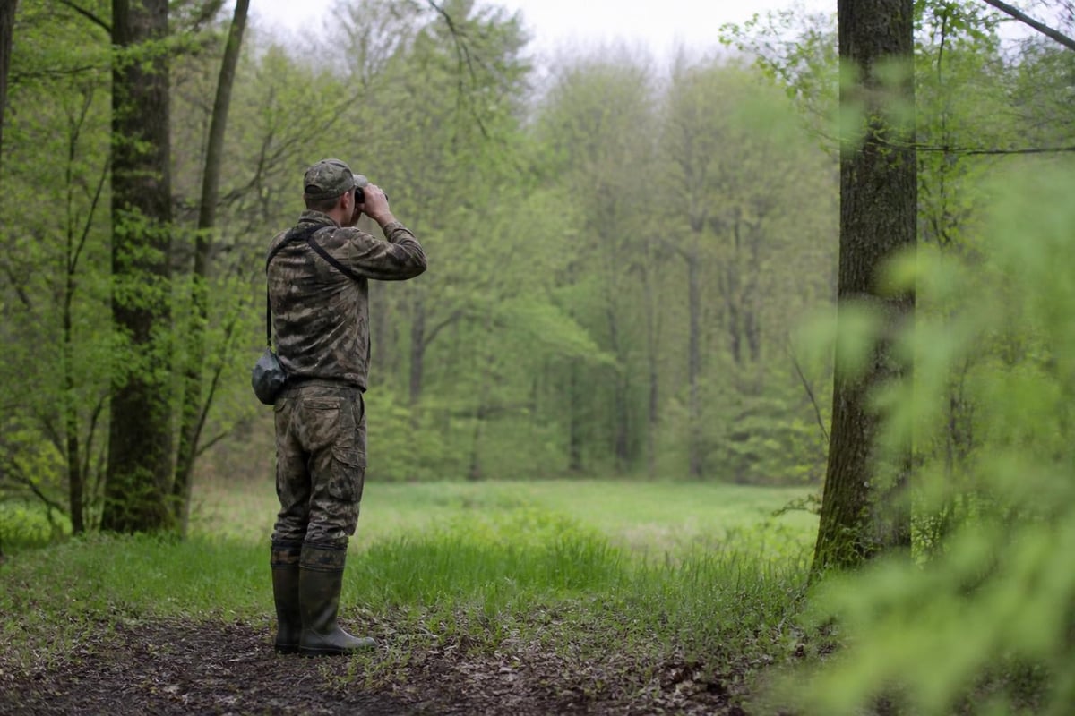 Pre-season turkey scouting