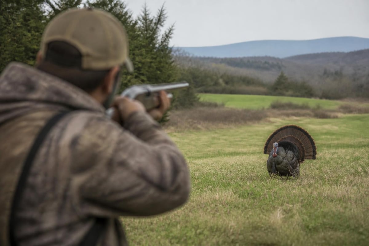 Regional turkey hunting variations