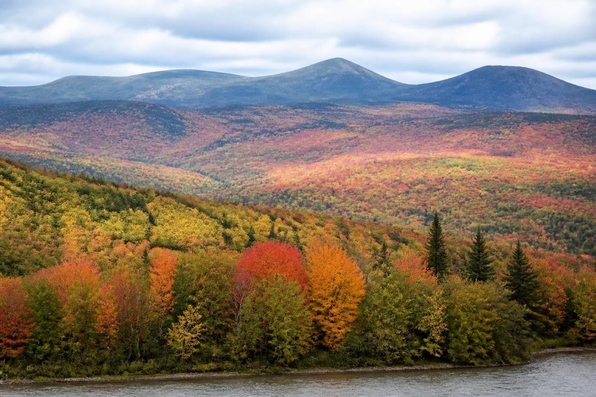 Maine fall foliage timing