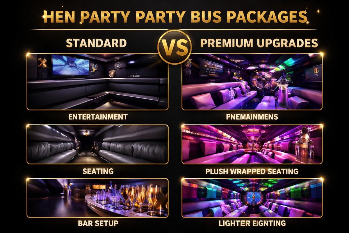 Party bus amenities