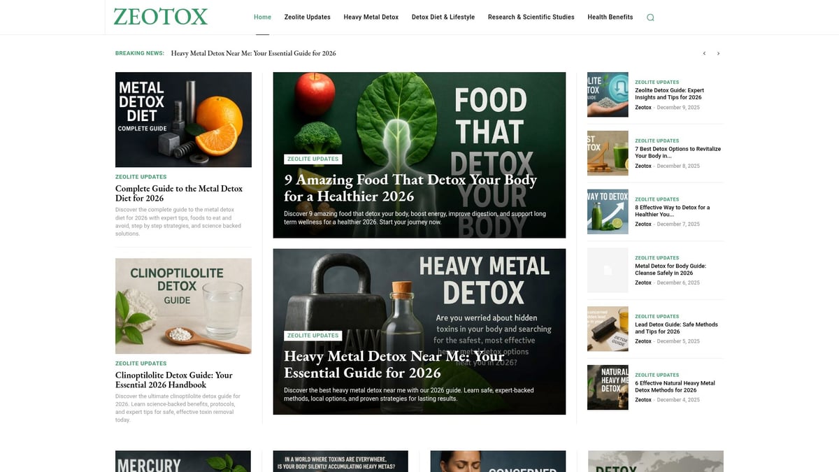 Detox and Diet Guide: Your Path to Wellness in 2026 - Zeolite-Based Detox: Science and Guidance from Zeotox