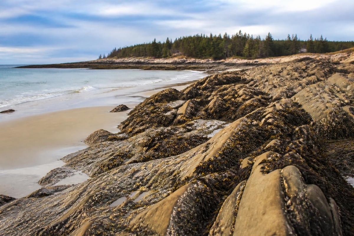 Maine coastal geology