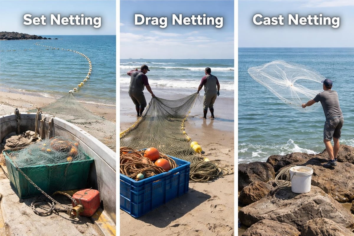 Fishing methods comparison