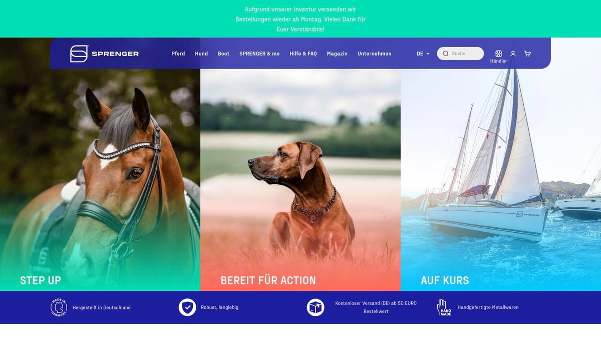 9 Best Gentle Horse Bits for Happy Horses in 2026 - Herm Sprenger Duo D-Ring Bit