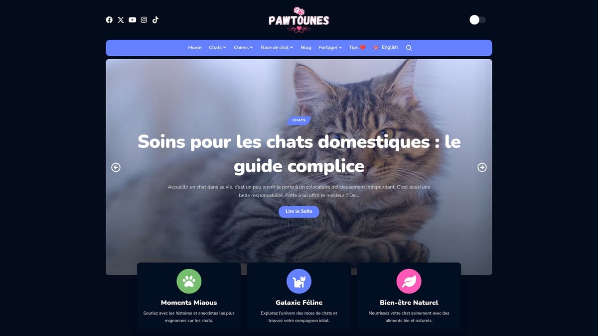 Pawtounes - Guide Chiot Chat : Conseils d’Harmonie en 2026 - Guide Chiot Chat : Conseils d’Harmonie en 2026 - Découvrir Pawtounes : la plateforme complice des amoureux de chats et de cohabitation réussie