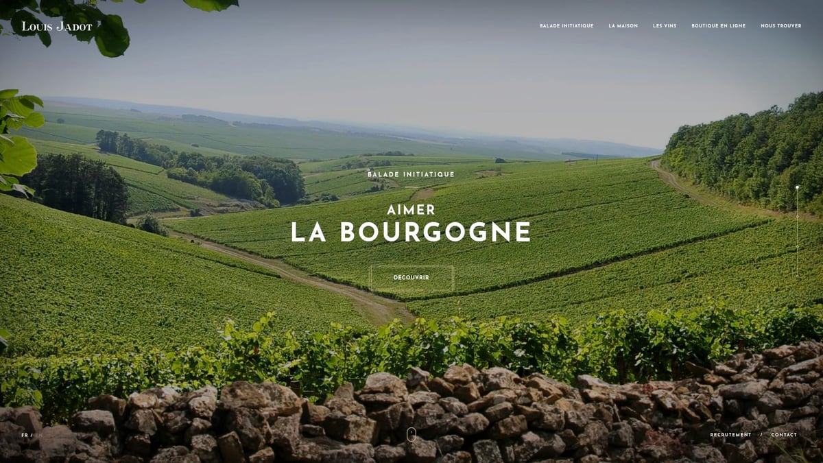 7 Brilliant Excellent Pinot Noir Picks to Savour in 2026 - Louis Jadot Bourgogne Pinot Noir 2022