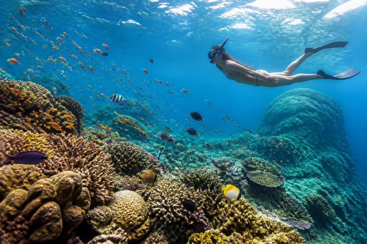 Coral Triangle biodiversity