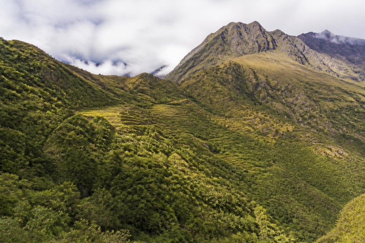 Ecological zones of Machu Picchu valley