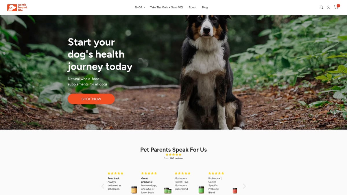 9 Essential Hip And Joint For Dogs Solutions In 2026 - North Hound Life Green Lipped Mussel Powder