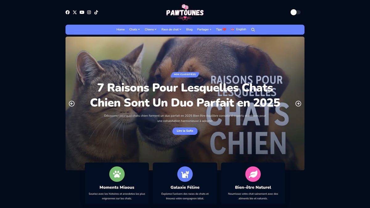Pawtounes - Guide Complet Du Chat Tigré Blanc : Conseils 2025 - Guide Complet Du Chat Tigré Blanc : Conseils 2025 - Conseils et communauté sur Pawtounes