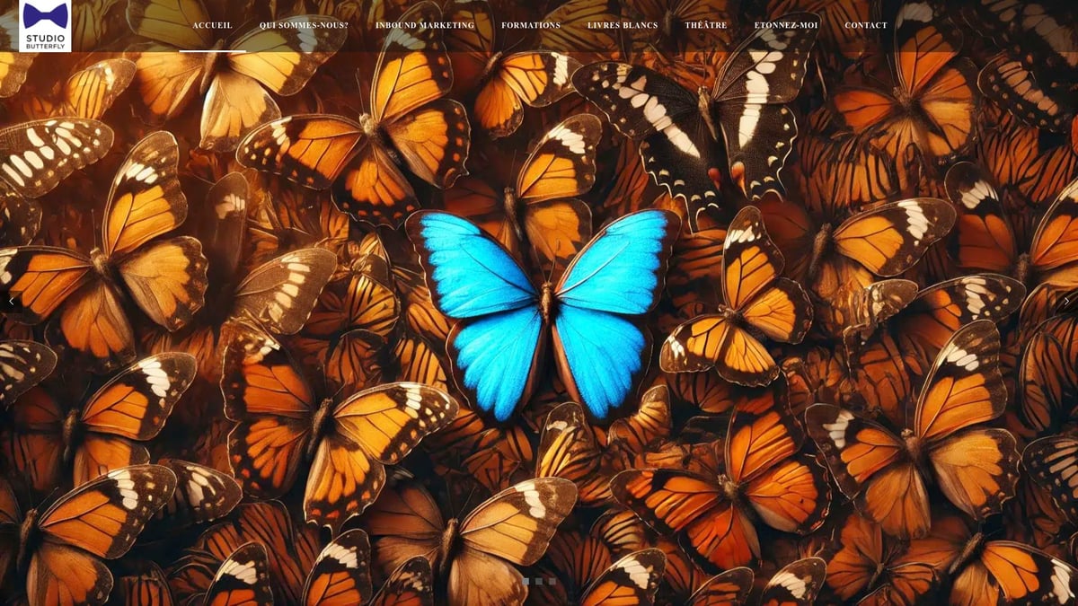 7 Meilleures Agence Vidéo Val de Marne à Découvrir en 2025 - Studio Butterfly