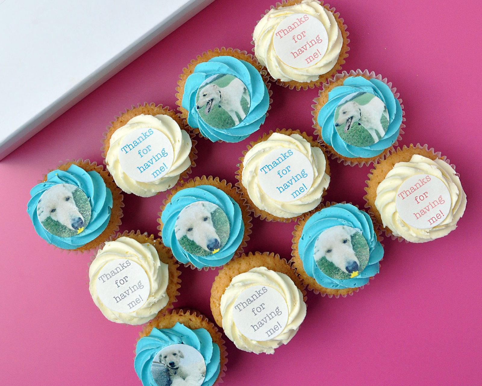 Photo and Message Cupcakes