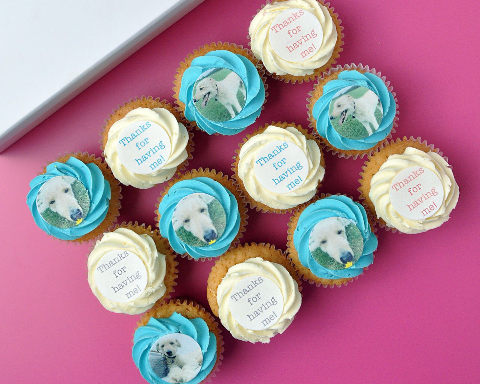 Photo and Message Cupcakes