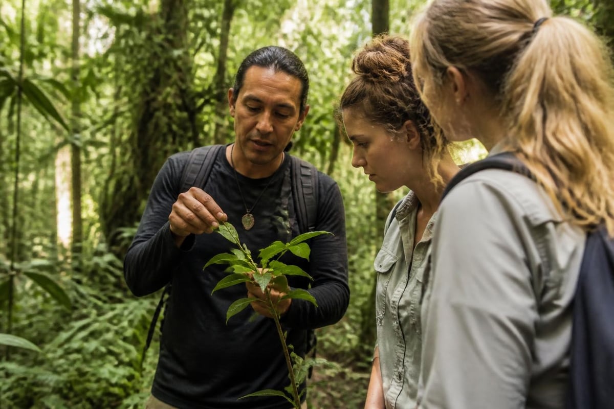 Traditional jungle medicine