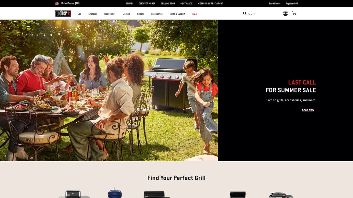 9 Best Grills for Steak to Try in 2025 - Weber Q 1200 Portable Gas Grill