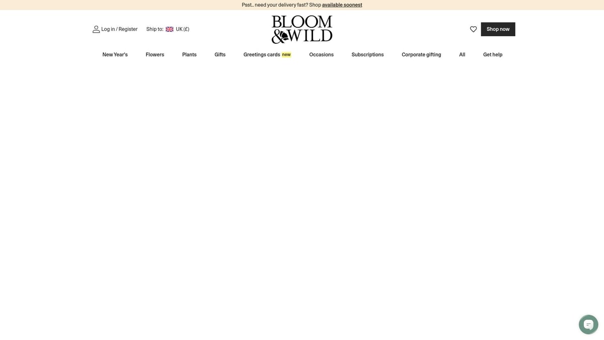 7 Essential Flowers And Champagne Delivery London Picks 2026 - Bloom & Wild – Letterbox Flowers & Champagne