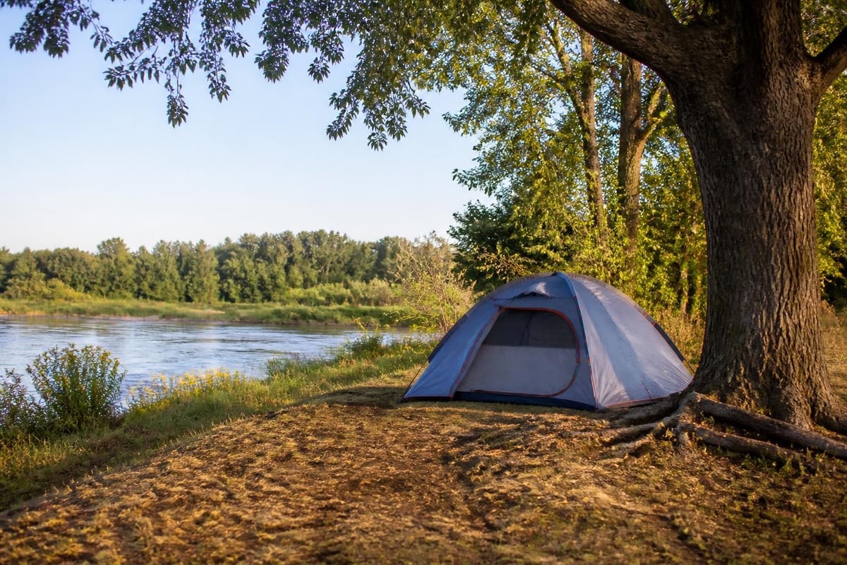 Campsite selection factors