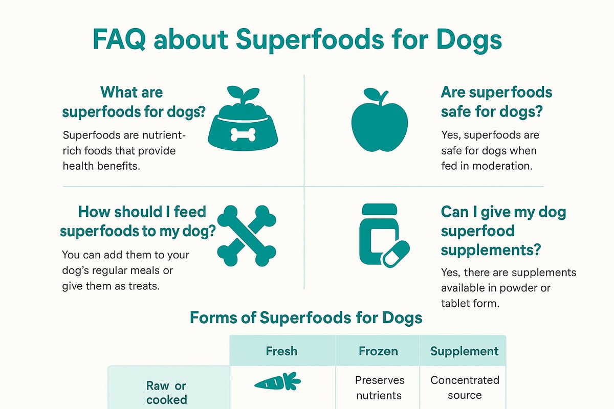 Frequently Asked Questions About Superfoods for Dogs