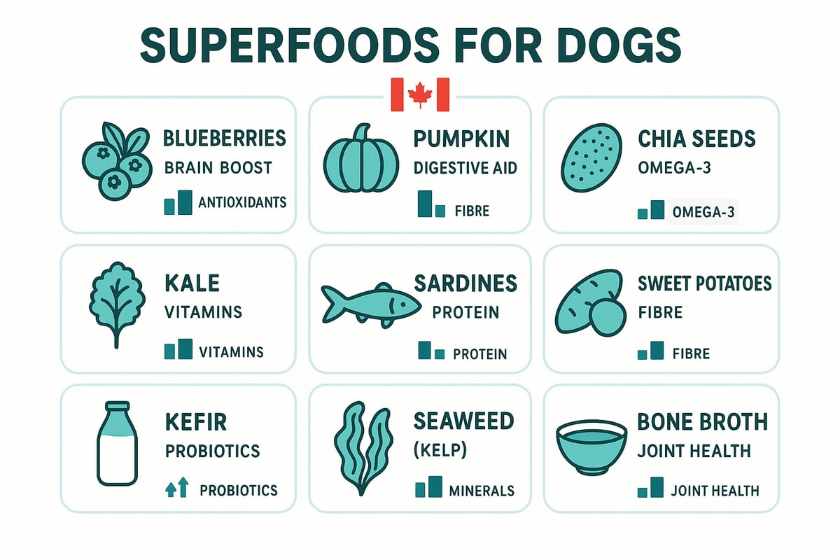 9 Essential Superfoods For Dogs Every Owner Should Try In 2025