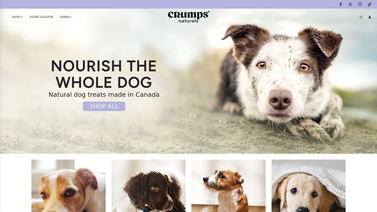 7 Essential Best Natural Food for Dogs Picks in 2026 - Crumps’ Naturals | Lamb Chops Dog Food Topper