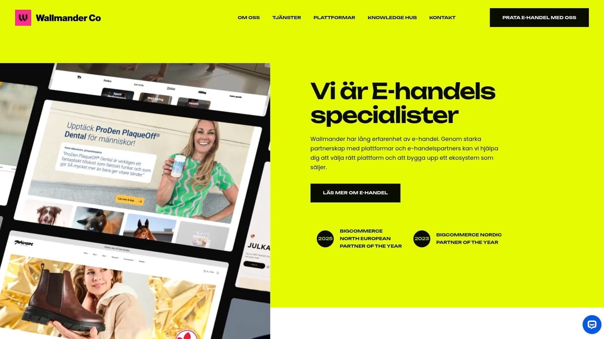 7 Smarta Val: E-handelsplattform B2B för 2025 - Wallmander Co – Skräddarsydd B2B E-handelsutveckling